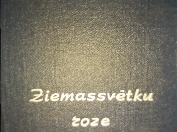Ziemassvētku roze