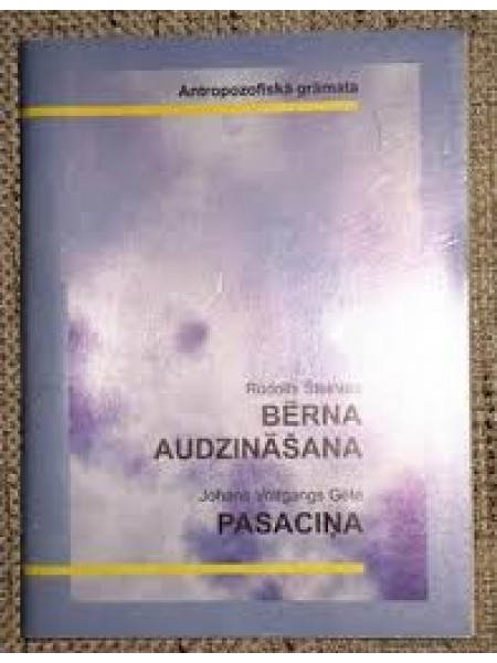 Bērna audzināšana