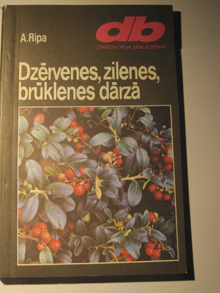 Dzērvenes,zilenes,brūklenes dārzā