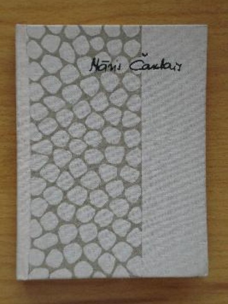 Kājāmgājējs un mūžība 