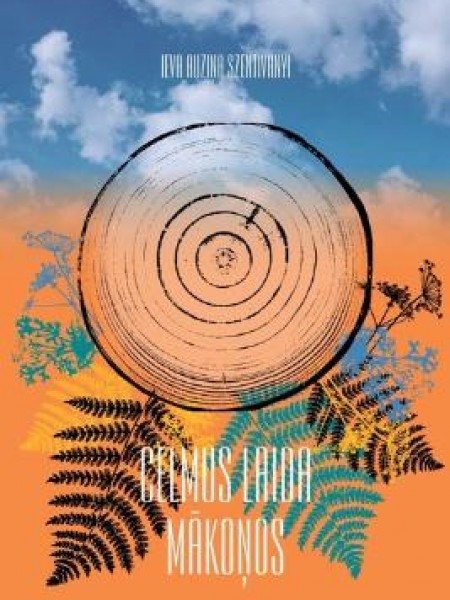 Celmus laida mākoņos