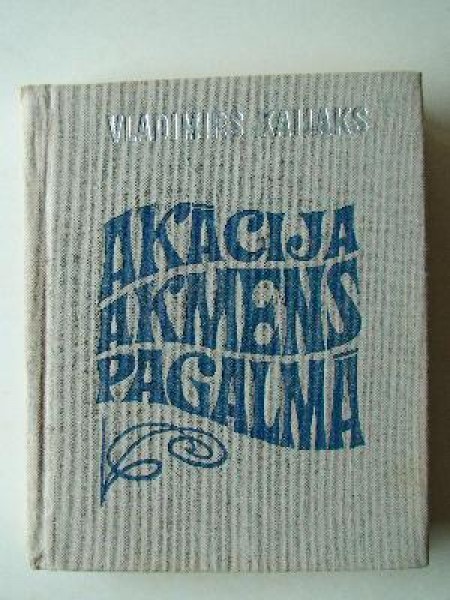 Akācija akmens pagalmā