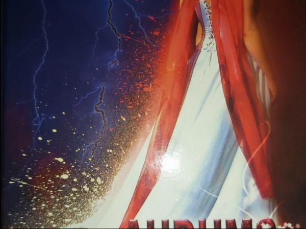 Audums kāzu kleitai