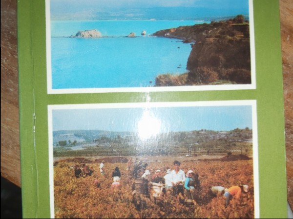 Jūrā iekritusī lapa