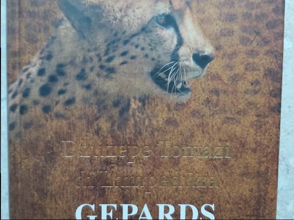 Gepards