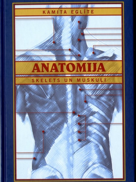 Anatomija. 1. daļa. Skelets un muskuļi