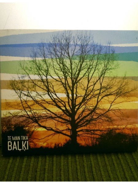 Te man tika. Baļķi