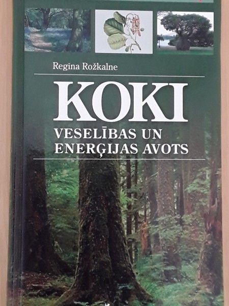 Koki veselības un enerğijas avots