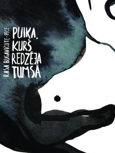 Puika, kurš redzēja tumsā