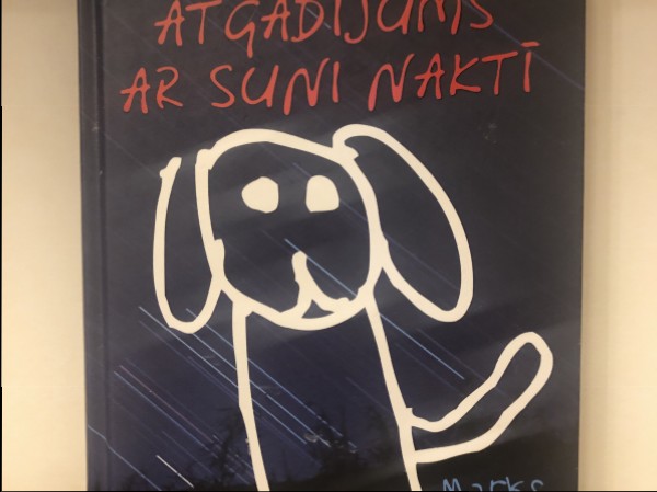 Savādais atgadījums ar suni naktī