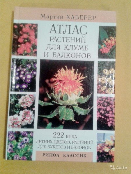 Атлас растений для клумб и балконов