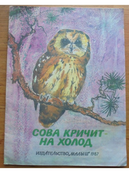 Сова кричит на холод