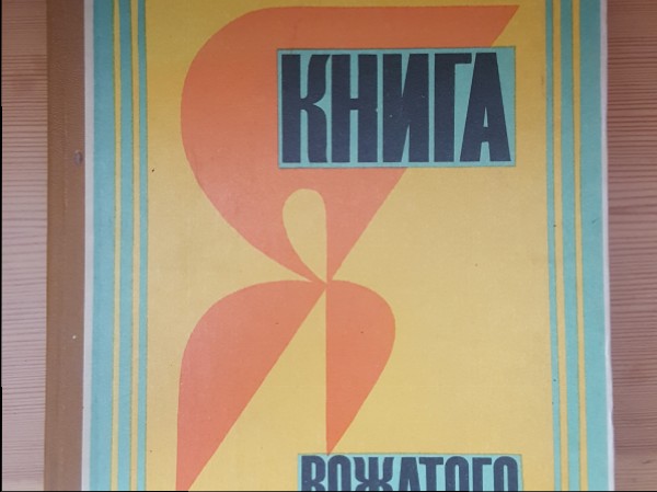 Книга  вожатого