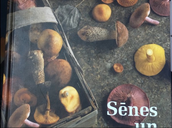 Sēnes un sēņu ēdieni
