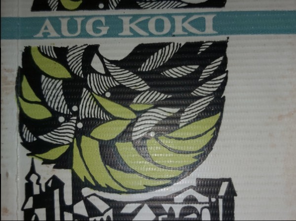 Aug koki