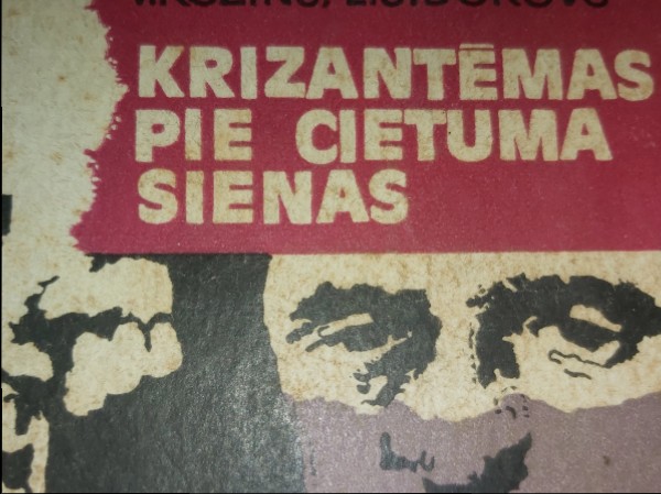 Krizantēmas pie cietuma sienas