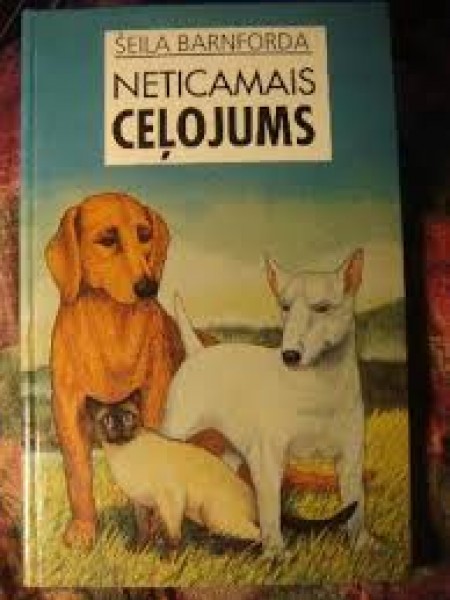 Neticamais ceļojums