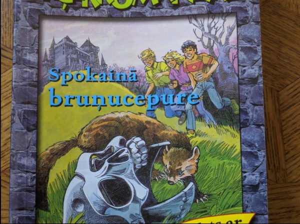 Tev lieta Nr.I2 un tīģerkomandai - spokainā bruņucepure