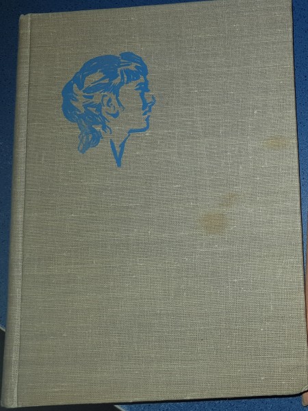 Cilvēka bērns Dite