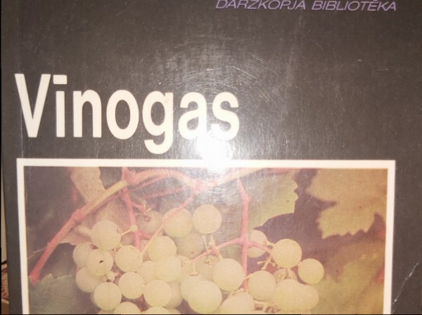 Vīnogas