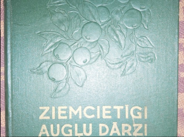 Ziemcietīgi augļu dārzi