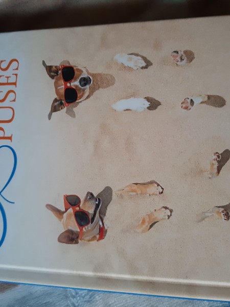 Skats no gaišās puses