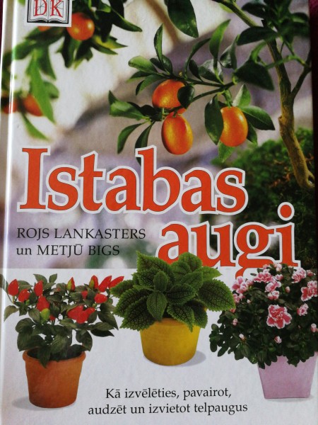 Istabas augi