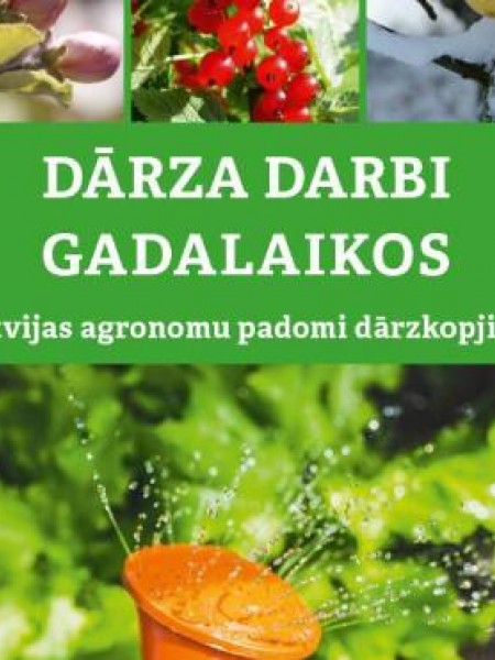 Dārza darbi gadalaikos