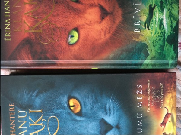 Klanu kaķi brīvībā