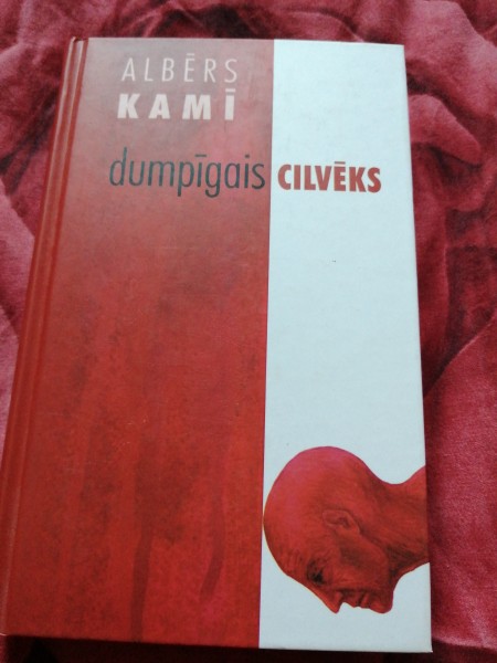 Dumpigais cilvēks 