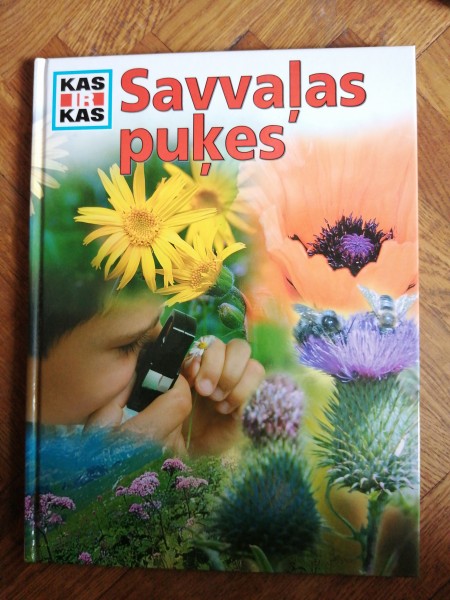 Savvaļas puķes 