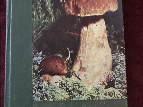 Rokasgrāmata sēņotājiem