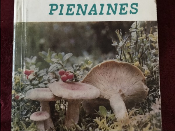 Pienaines