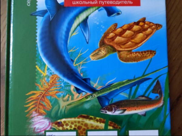 Жизнь в солёной воде