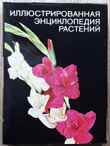 Иллюстрированная энциклопедия растений