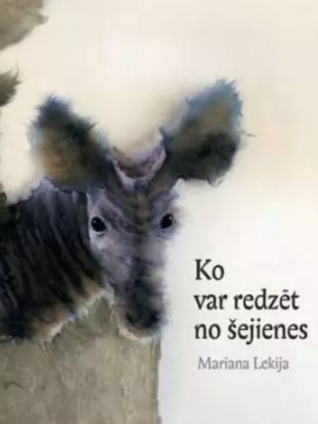 Ko var redzēt no šejienes