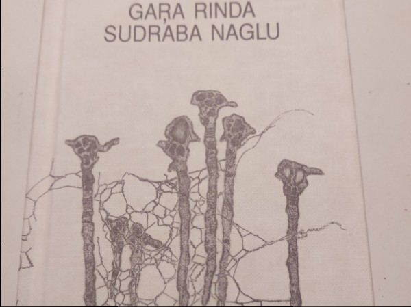 Gara rinda sudraba naglu