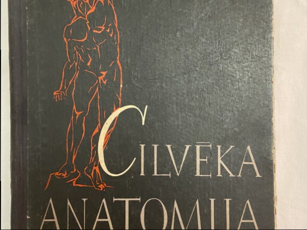 Cilvēka anatomija
