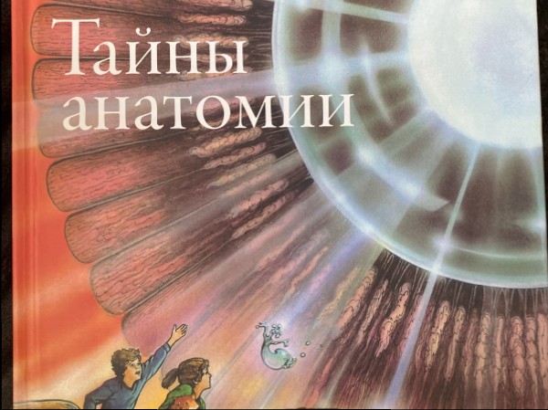 Тайны анатомии