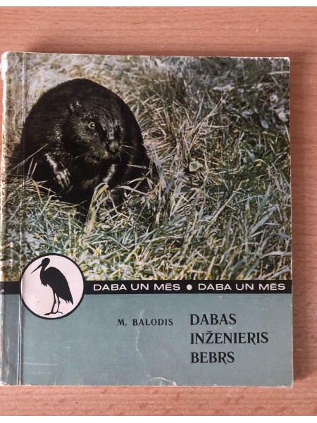 Dabas inženieris bebrs