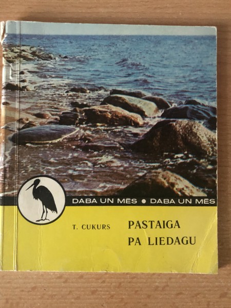 Pastaiga pa liedagu