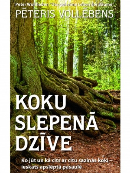 koku slepenā dzīve
