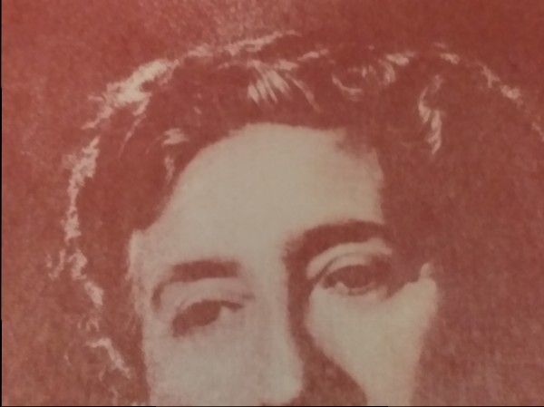 Kaķis baložu barā