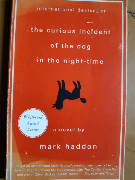 the curious incident of the dog in the night-time