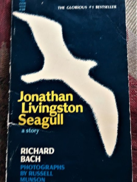 Jonathan Livingstone Seagull