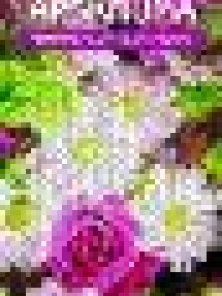 Nenokavēt svētdienu