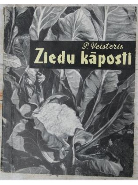 Ziedu kāposti