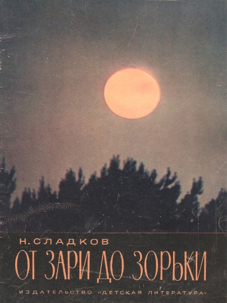 От зари до зорьки