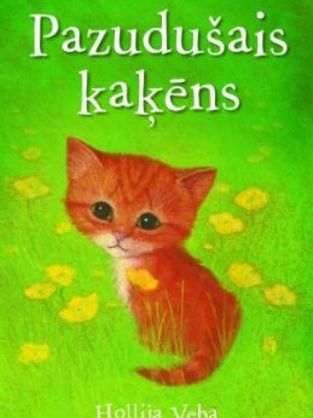 Pazudušais kaķēns