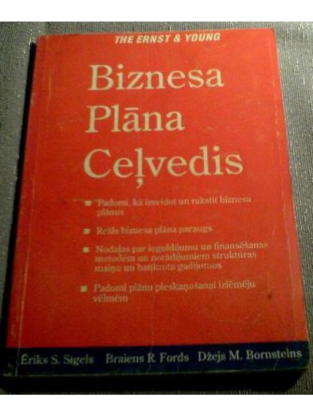 Ernst and Young Biznesa plāna ceļvedis